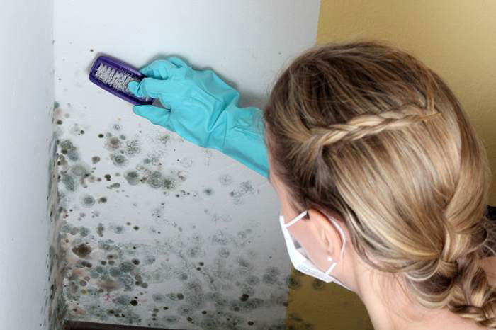 A woman wearing a white shirt and blue gloves removes mold from a wall