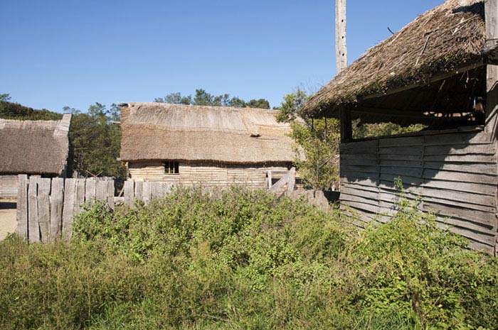 Traditional wooden houses with thatched roofs and wooden fences